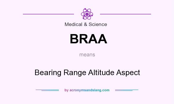 What does BRAA mean? It stands for Bearing Range Altitude Aspect