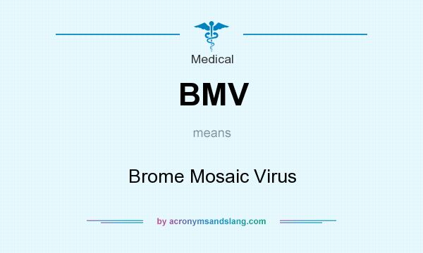 What does BMV mean? It stands for Brome Mosaic Virus