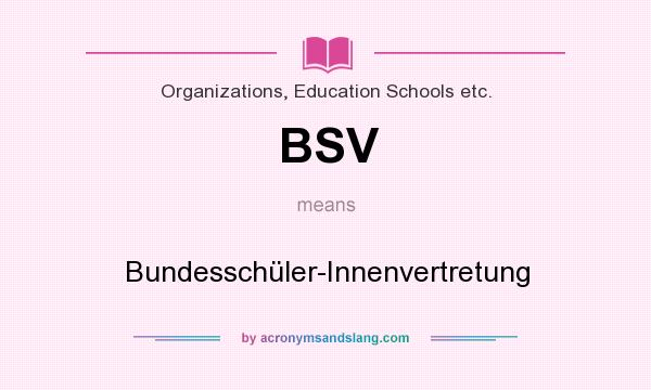 What does BSV mean? It stands for Bundesschüler-Innenvertretung