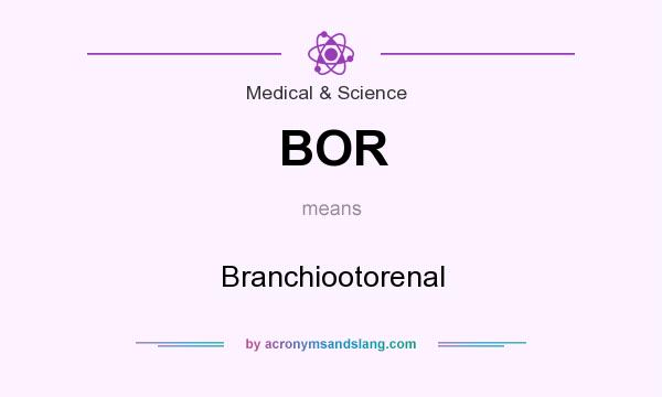 What does BOR mean? It stands for Branchiootorenal