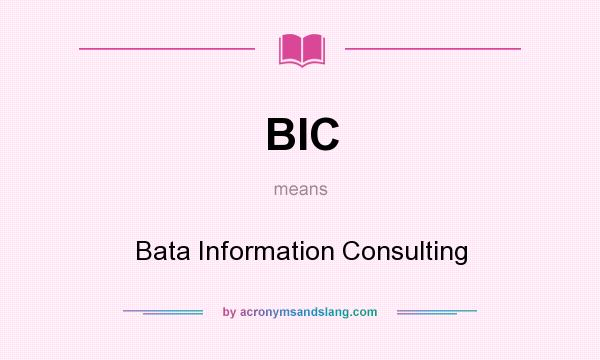 What does BIC mean? It stands for Bata Information Consulting