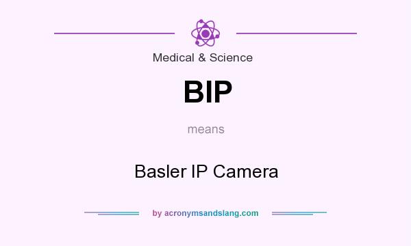 What does BIP mean? It stands for Basler IP Camera
