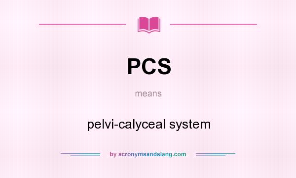 What does PCS mean? It stands for pelvi-calyceal system