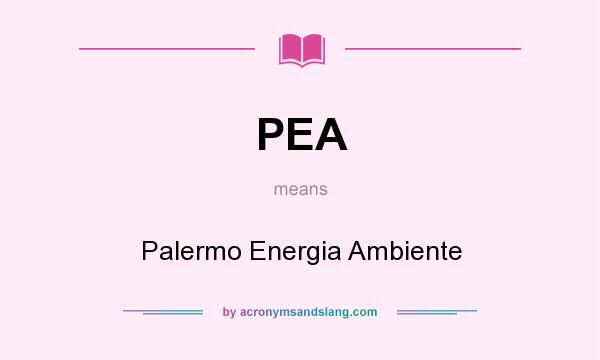 What does PEA mean? It stands for Palermo Energia Ambiente