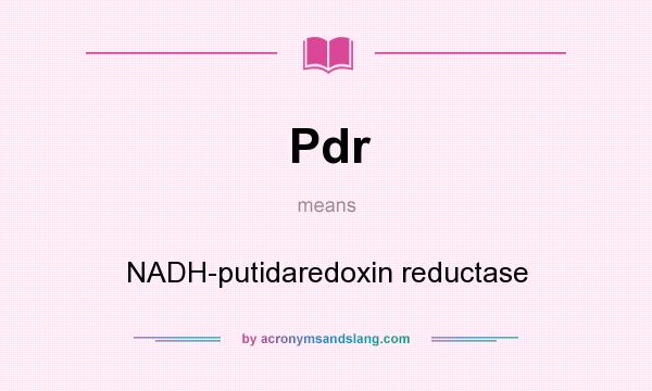 What does Pdr mean? It stands for NADH-putidaredoxin reductase