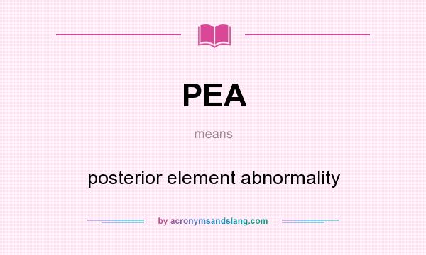 What does PEA mean? It stands for posterior element abnormality