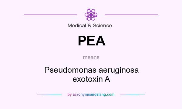 What does PEA mean? It stands for Pseudomonas aeruginosa exotoxin A