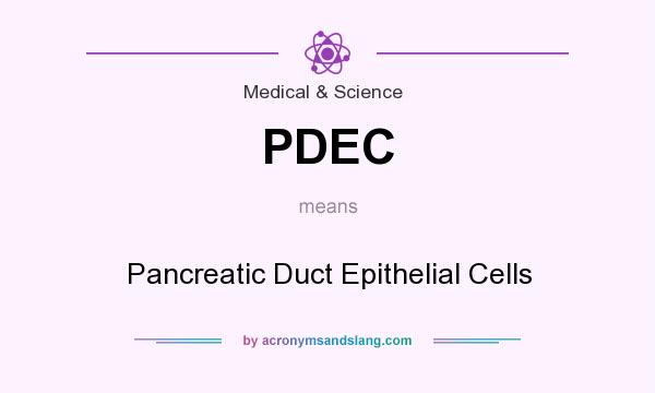 What does PDEC mean? It stands for Pancreatic Duct Epithelial Cells