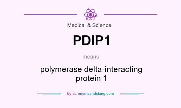 What does PDIP1 mean? It stands for polymerase delta-interacting protein 1