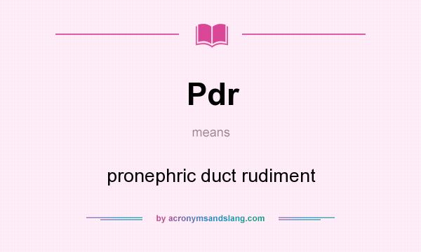 What does Pdr mean? It stands for pronephric duct rudiment