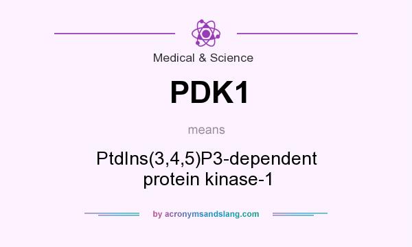 What does PDK1 mean? It stands for PtdIns(3,4,5)P3-dependent protein kinase-1