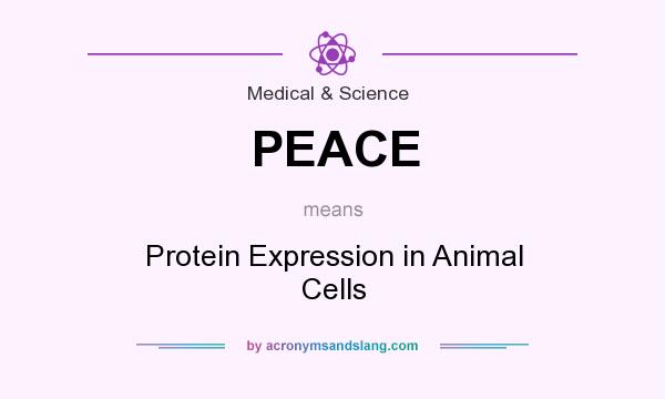 What does PEACE mean? It stands for Protein Expression in Animal Cells