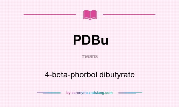 What does PDBu mean? It stands for 4-beta-phorbol dibutyrate