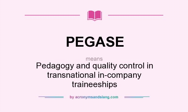 What does PEGASE mean? It stands for Pedagogy and quality control in transnational in-company traineeships