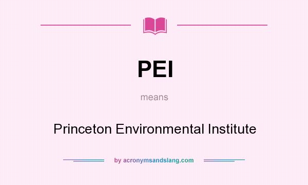 What does PEI mean? It stands for Princeton Environmental Institute
