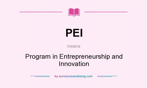 What does PEI mean? It stands for Program in Entrepreneurship and Innovation