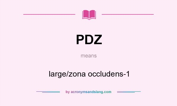 What does PDZ mean? It stands for large/zona occludens-1
