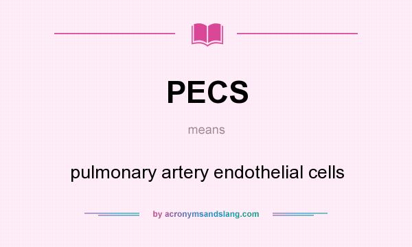 What does PECS mean? It stands for pulmonary artery endothelial cells