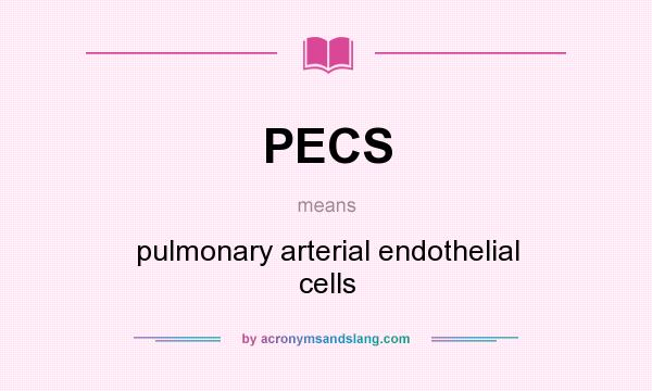 What does PECS mean? It stands for pulmonary arterial endothelial cells