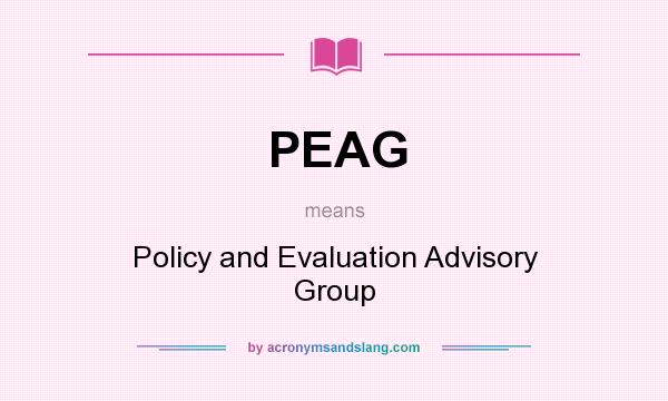 What does PEAG mean? It stands for Policy and Evaluation Advisory Group