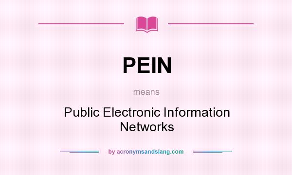 What does PEIN mean? It stands for Public Electronic Information Networks
