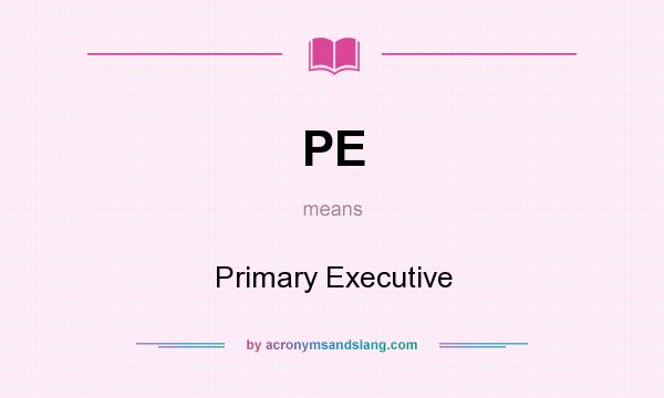 What does PE mean? It stands for Primary Executive