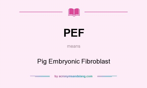 What does PEF mean? It stands for Pig Embryonic Fibroblast