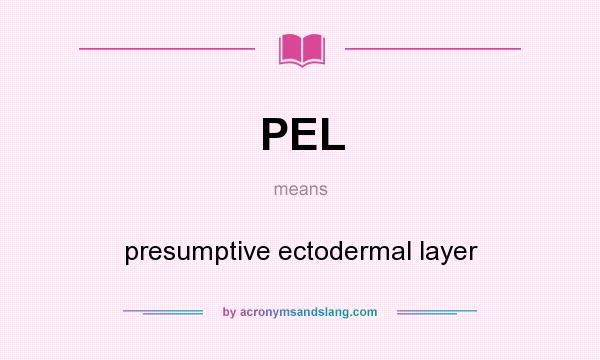 What does PEL mean? It stands for presumptive ectodermal layer