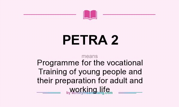 What does PETRA 2 mean? It stands for Programme for the vocational Training of young people and their preparation for adult and working life