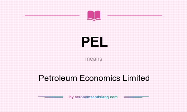 What does PEL mean? It stands for Petroleum Economics Limited