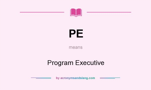What does PE mean? It stands for Program Executive