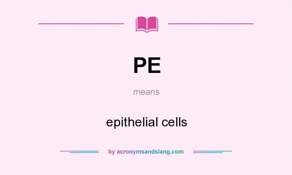 What does PE mean? It stands for epithelial cells