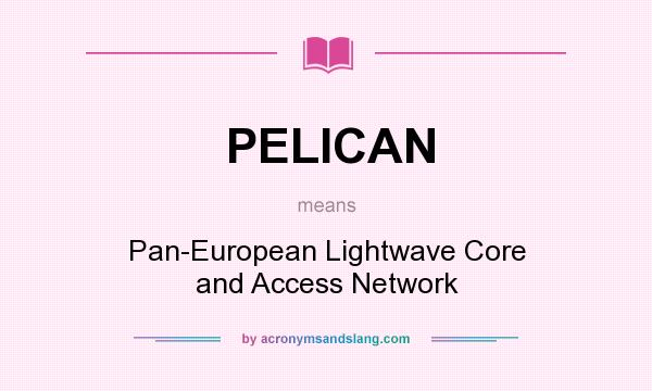 What does PELICAN mean? It stands for Pan-European Lightwave Core and Access Network