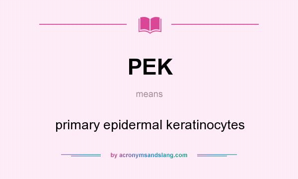 What does PEK mean? It stands for primary epidermal keratinocytes