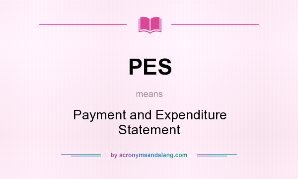 What does PES mean? It stands for Payment and Expenditure Statement