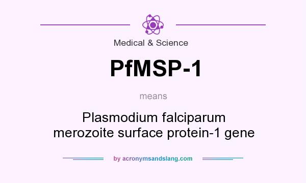 What does PfMSP-1 mean? It stands for Plasmodium falciparum merozoite surface protein-1 gene