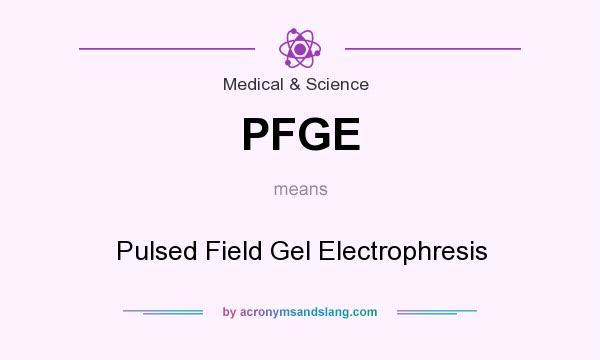 What does PFGE mean? It stands for Pulsed Field Gel Electrophresis