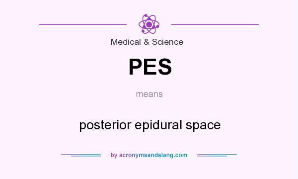 What does PES mean? It stands for posterior epidural space