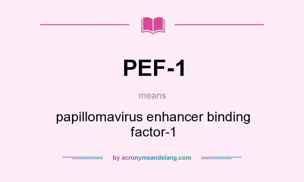 What does PEF-1 mean? It stands for papillomavirus enhancer binding factor-1