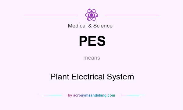 What does PES mean? It stands for Plant Electrical System
