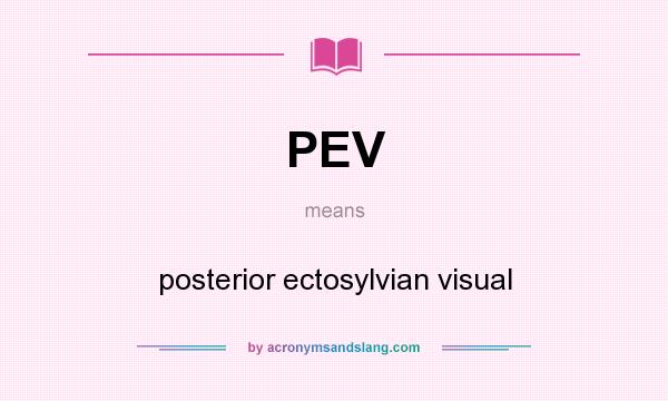 What does PEV mean? It stands for posterior ectosylvian visual