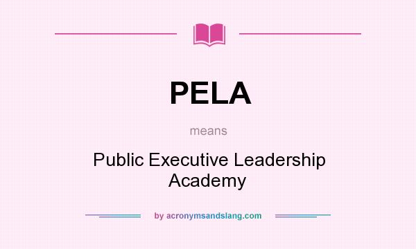 What does PELA mean? It stands for Public Executive Leadership Academy