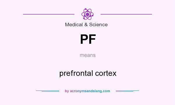 What does PF mean? It stands for prefrontal cortex