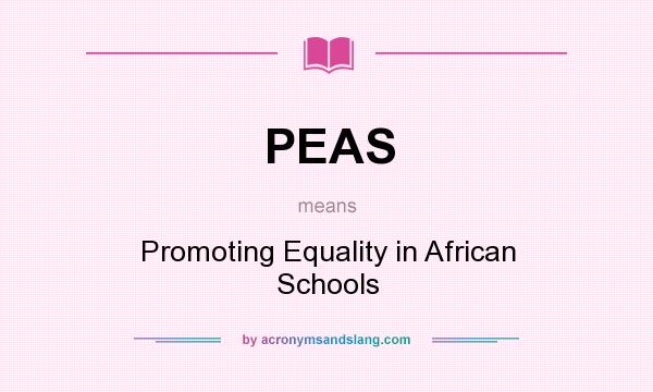 What does PEAS mean? It stands for Promoting Equality in African Schools