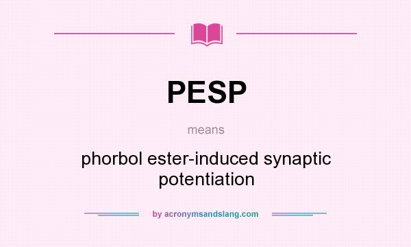 What does PESP mean? It stands for phorbol ester-induced synaptic potentiation