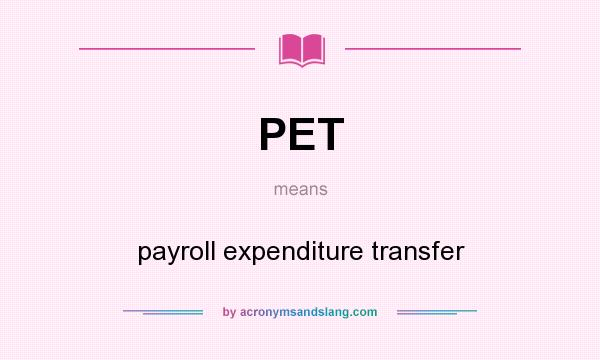 What does PET mean? It stands for payroll expenditure transfer