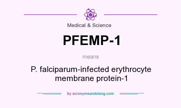 What does PFEMP-1 mean? It stands for P. falciparum-infected erythrocyte membrane protein-1