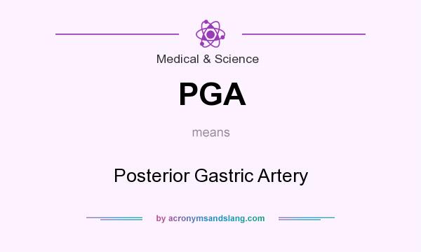 What does PGA mean? It stands for Posterior Gastric Artery