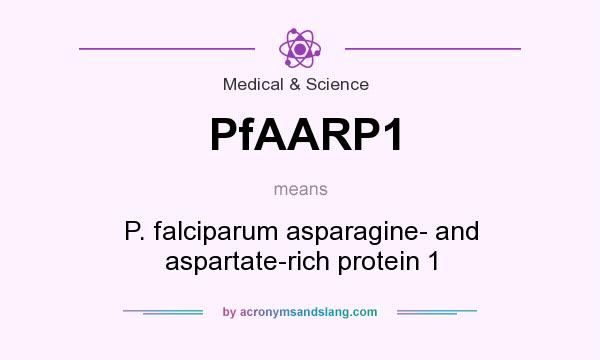 What does PfAARP1 mean? It stands for P. falciparum asparagine- and aspartate-rich protein 1