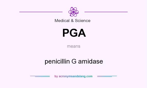 What does PGA mean? It stands for penicillin G amidase